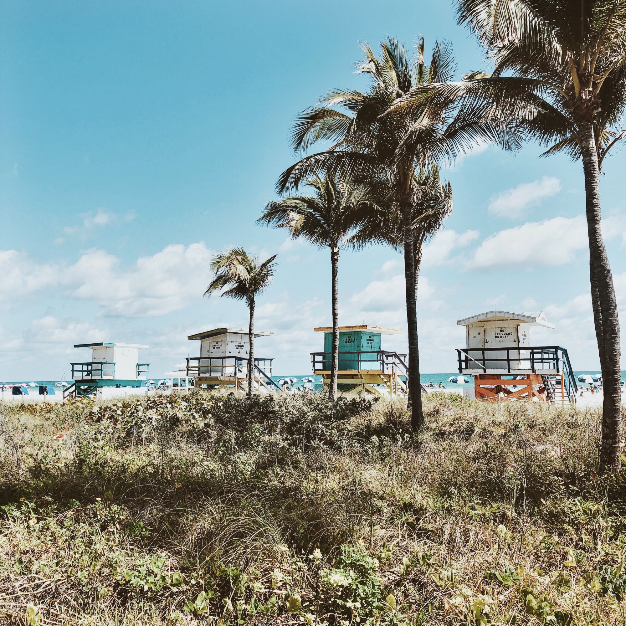 Travel Diary | Miami