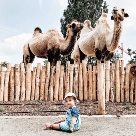 travelling with a baby