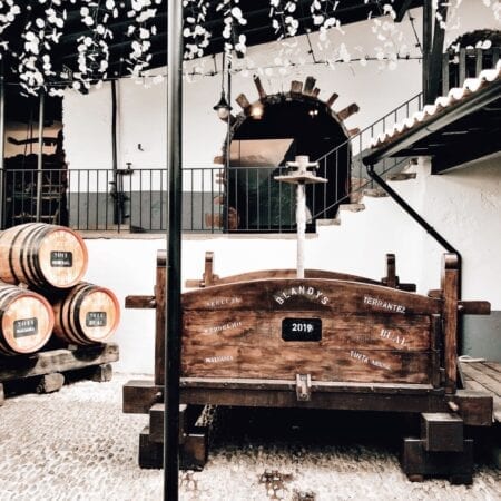 Blandys Wine Madeira Portugal