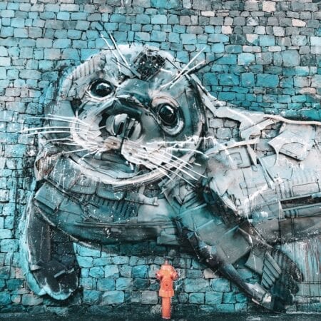 Things to do in Madeira Portugal