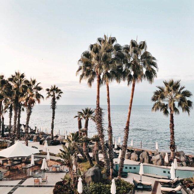 Things to do in Madeira Portugal