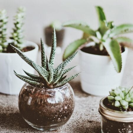 make your house a home