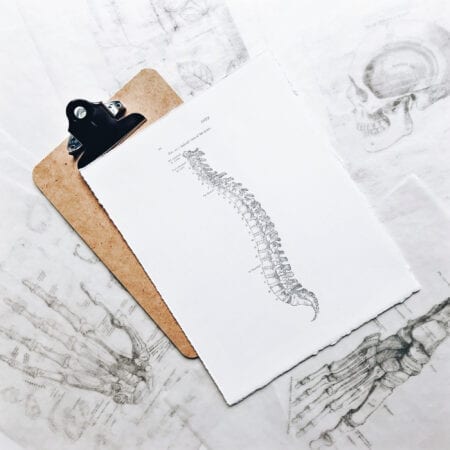 looking after your spine