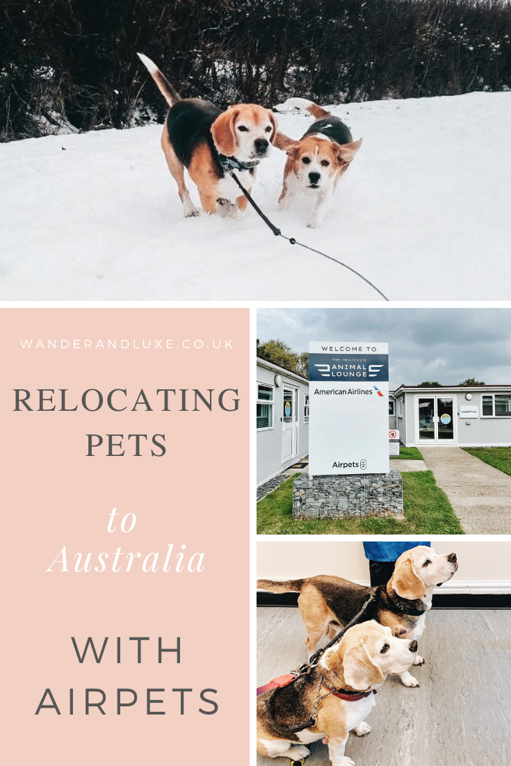 Relocating Pets to Australia