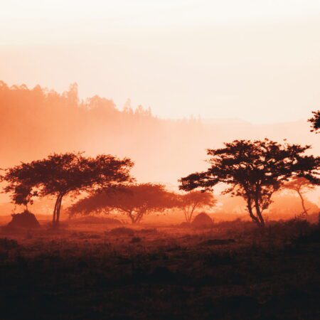 Medical Coverage for Expats in Rwanda